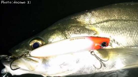 �����Х�