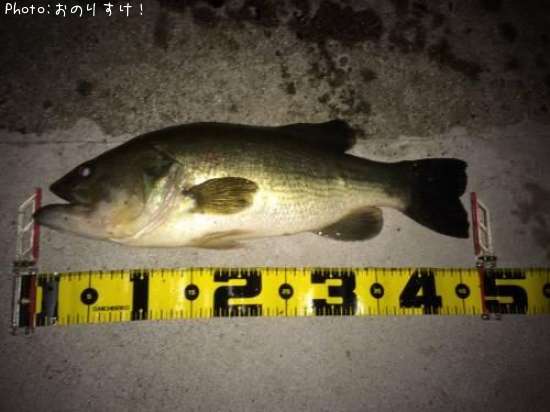 �顼���ޥ����Х�