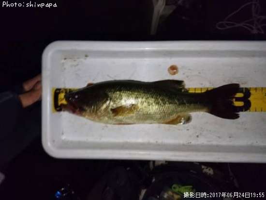 �֥�å��Х�