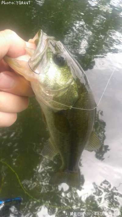 �֥�å��Х�