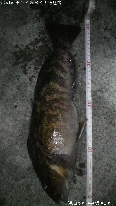 �����ʥ�