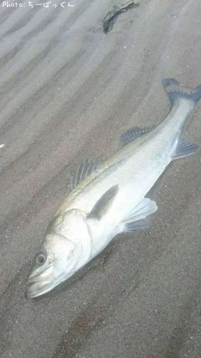 �����Х�