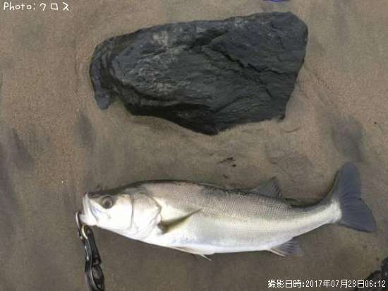 �����Х�