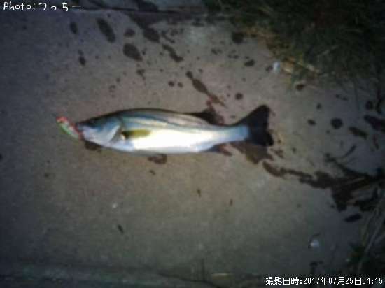 �����Х�