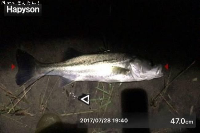 �����Х�