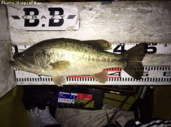 �֥�å��Х�