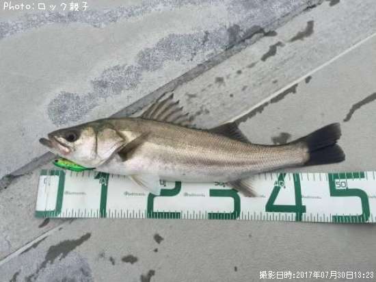 �����Х�