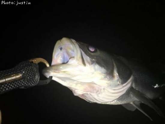 �����Х�