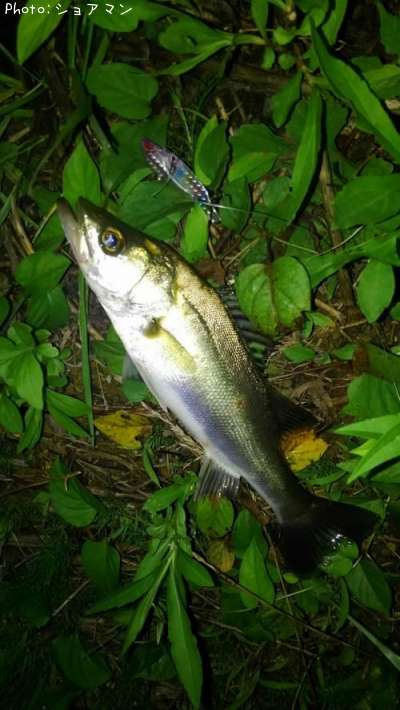 �����Х�