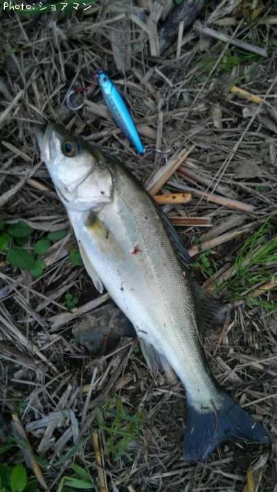 �����Х�