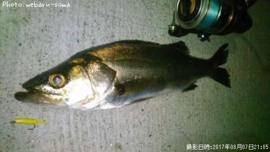 �����Х�