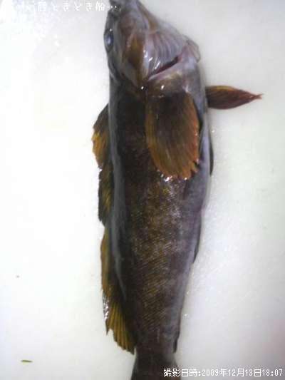 �����ʥ�