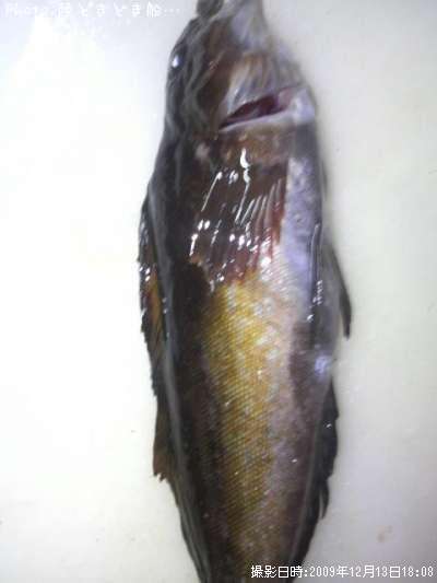 �����ʥ�