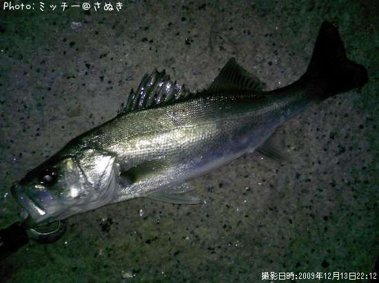 �ޥ륹����