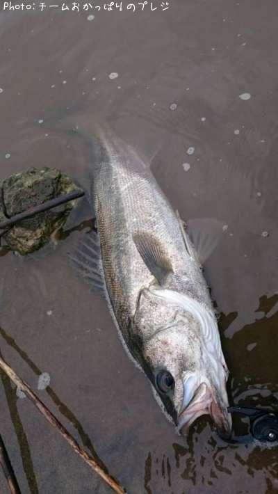 �����Х�