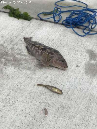 �����ʥ�