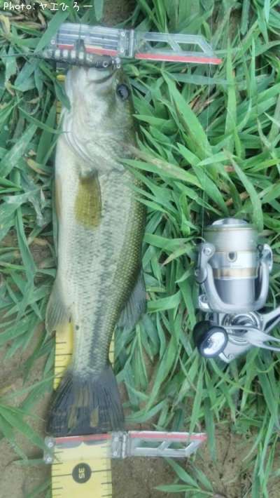 �֥�å��Х�