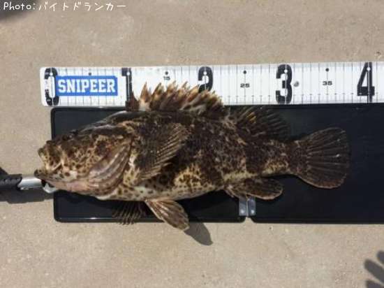 �����Υ���Х�