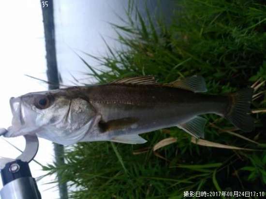 �����Х�