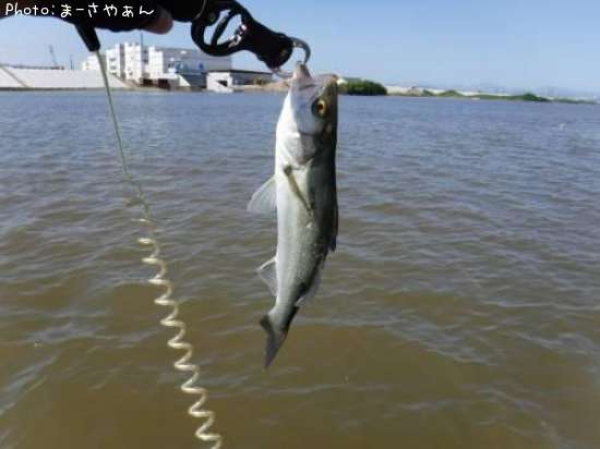 �����Х�