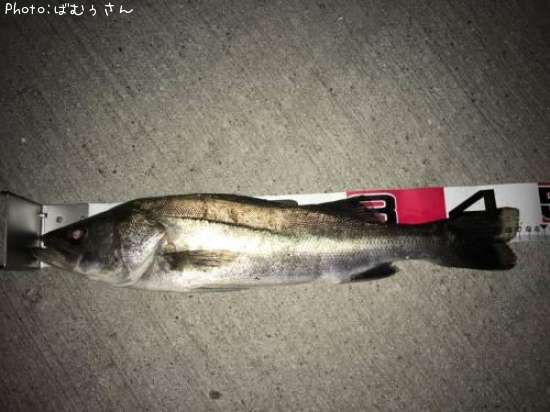 �����Х�