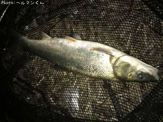 �ޥ륿������