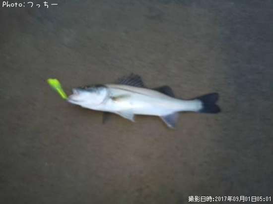 �����Х�