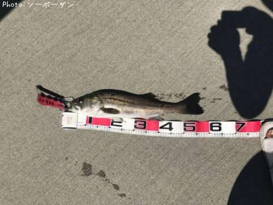 �����Х�