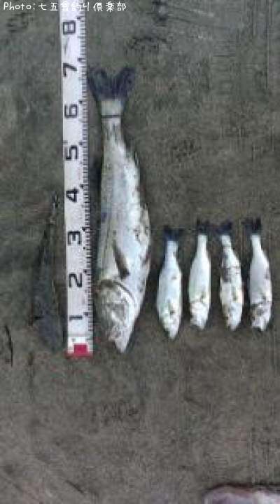 �����Х�