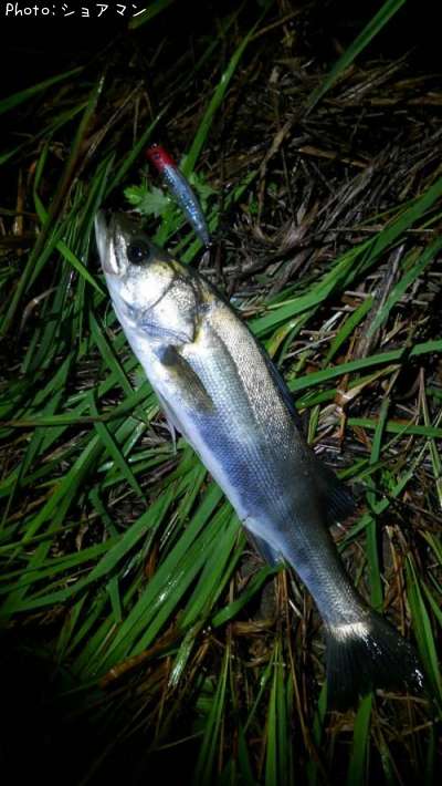 �����Х�