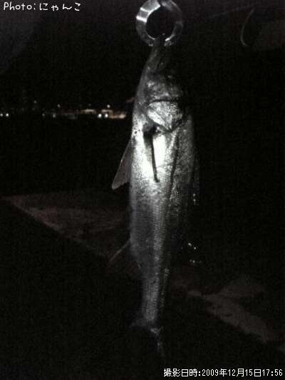 �����Х�