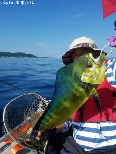 �ڥ�ڥ�����ʥ�