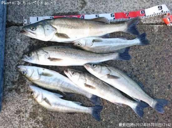 �����Х�