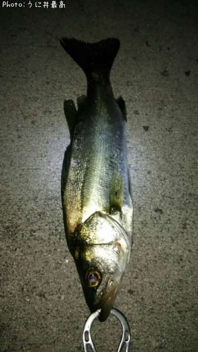 �����Х�