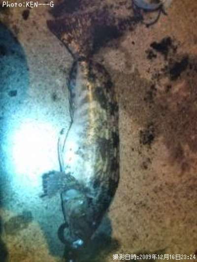 �����ʥ�