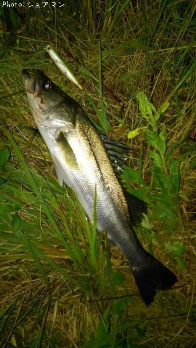 �����Х�