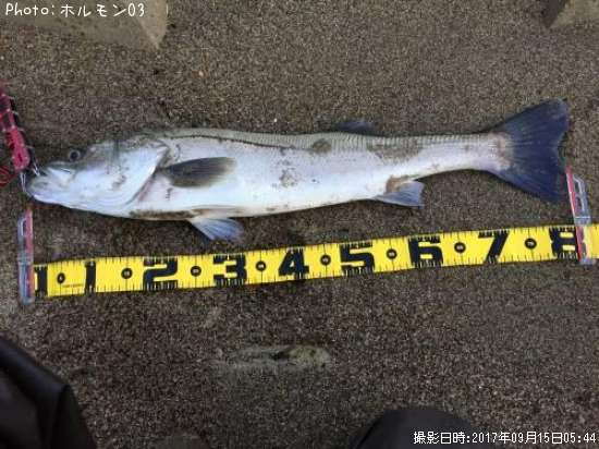 �����Х�