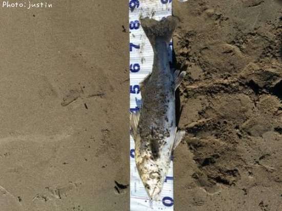 �����Х�