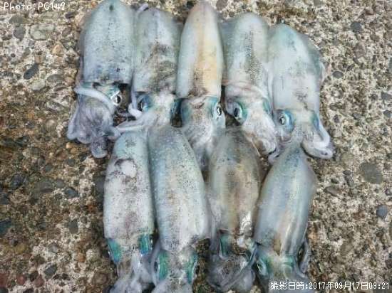 �����ꥤ��