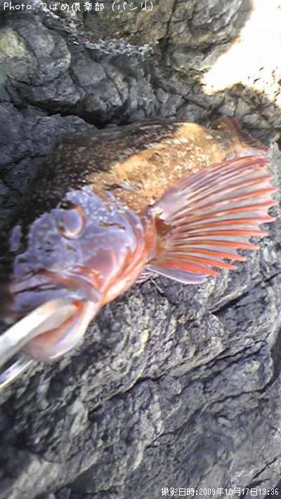 �����ʥ�