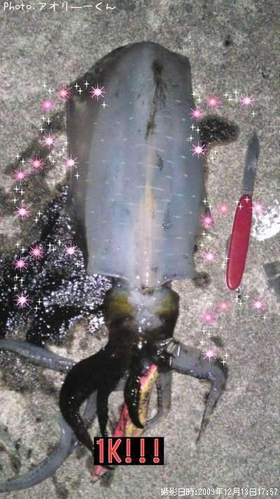 �����ꥤ��