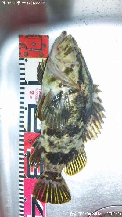 �����Υ���Х�