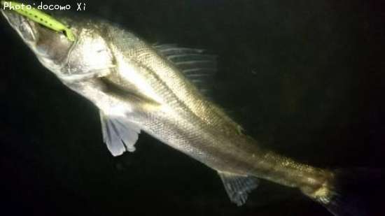 �����Х�