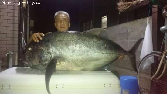 �����˥󥢥�