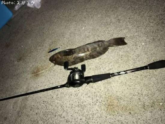 �����ʥ�