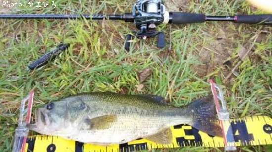 �֥�å��Х�