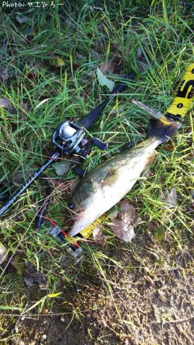 �֥�å��Х�