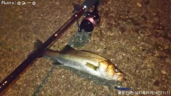 �����Х�