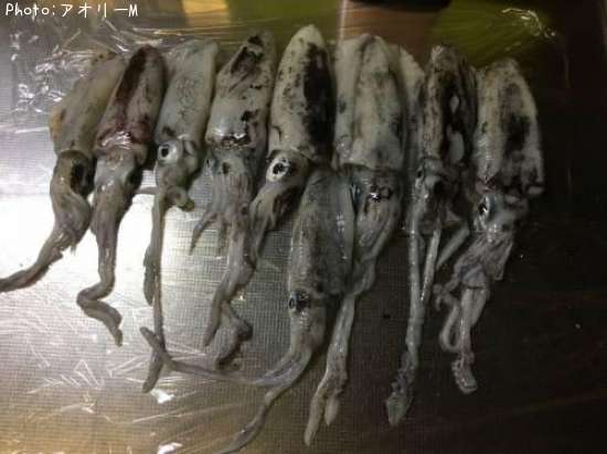 �����ꥤ��