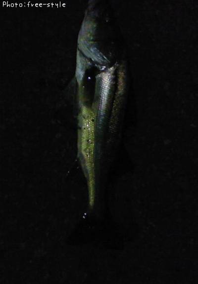 �ӣ��£���